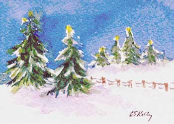 Winter Calm  Elizabeth Sawyer Kelly Madison WI watercolor